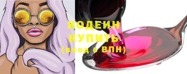 хмурый Арсеньев