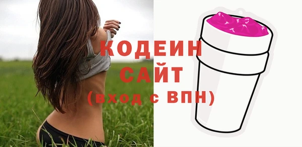 хмурый Арсеньев