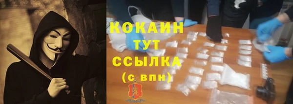 дмт Аркадак