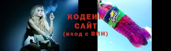 хмурый Арсеньев