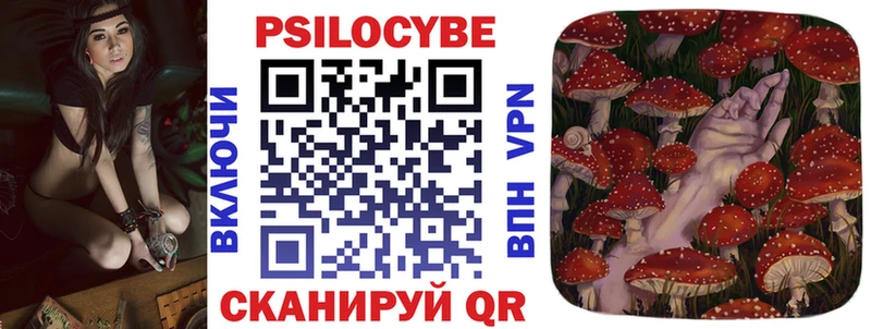Псилоцибиновые грибы Psilocybine cubensis  Купить закладки  Суровикино 