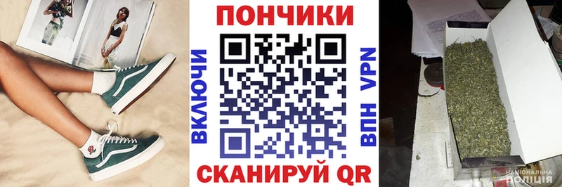 Марихуана план  Купить закладки  Суровикино 